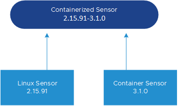 Diagram example of how the Linux Sensor and Container Sensor are bundled together to create the Containerized Sensor